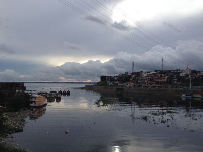 Brasilien: Manaus