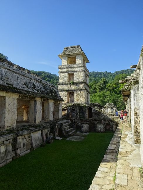 Palenque: In den Ruinen auf den Spuren der Maya