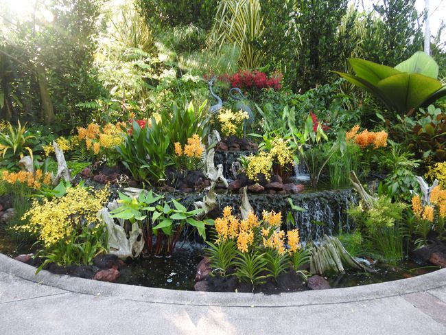 Singapore Botanical Garden + Marina Bay Sands