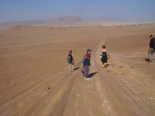 Paracas National Reserve - Off to the desert.