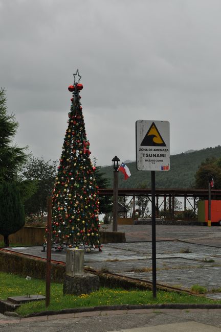 Der Tsunami lässt sich auch nicht von hässlichen Weihnachtsbäumen abschrecken