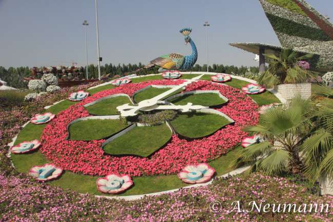 Dubai Fähre - Miracle Garden - Butterfly Garden - Hard Rock Café