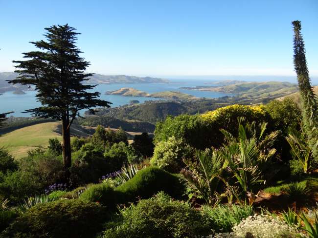 Aussicht vom Larnach Castle auf die Halbinsel „Otago Peninsula" bzw. auf die Bucht von Dunedin