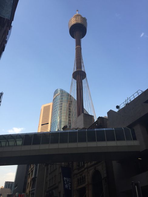 Chapter 4: Sydney, New Year's Eve, and Family Time