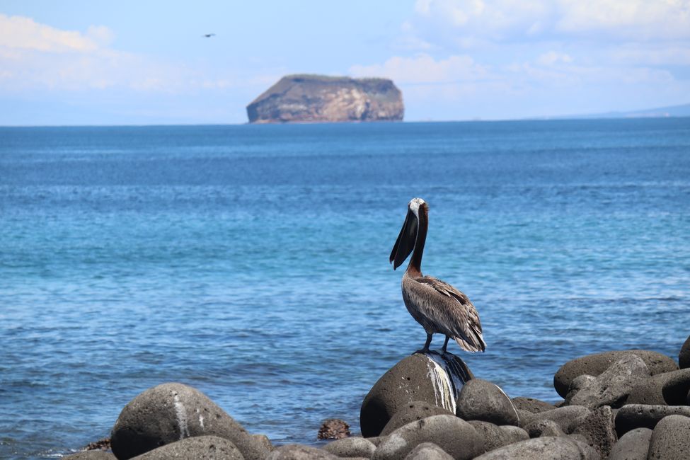 Following in the footsteps of Charles Darwin: Quito-Galapagos Islands-Quito