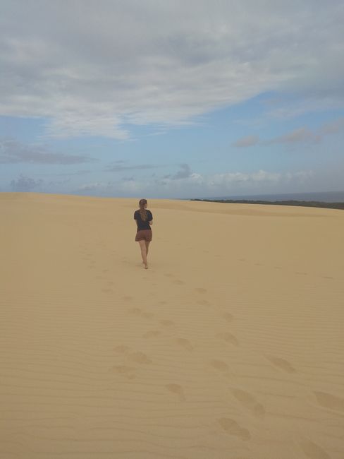 Walk in the dunes