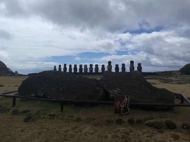 Toppled Moai in Akahanga