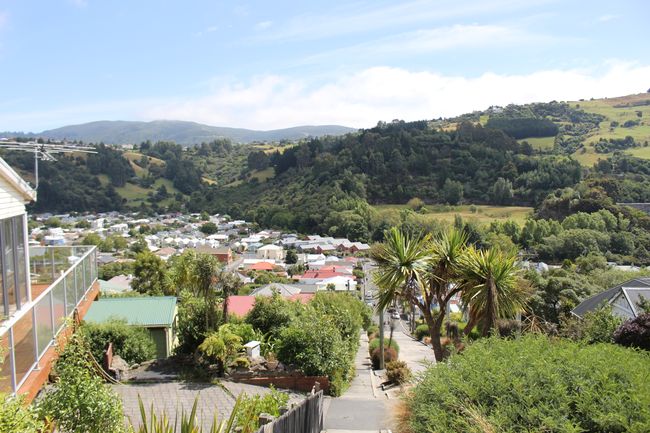 Ausblick von der Baldwin Street - Dunedin
