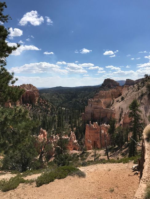 Feuer im Bryce Canyon