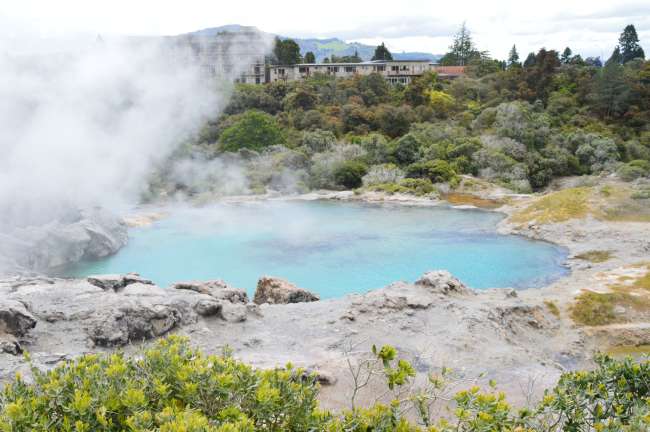 Te Puia - Vapeur de geyser, culture Maori et un kiwi vivant