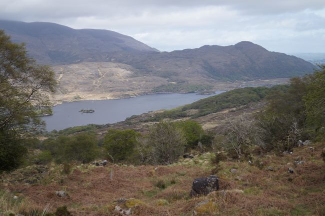 Weekend trip to Killarney: National Park and Ring of Kerry 🏞️