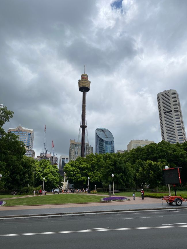 Blick auf das Sydney Tower Eye