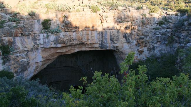 Carlsbad Caverns National Park - waiting in vain