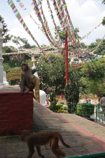 Sightseeing