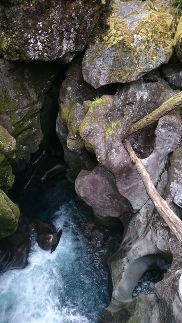 Rückweg: Ein Gebirgsbach, der sich in die Felsen eingegraben hat.