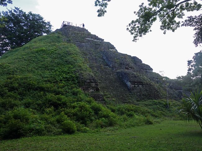 Eine der (bestenfalls) halbausgegrabenen Pyramiden von Tikal ...