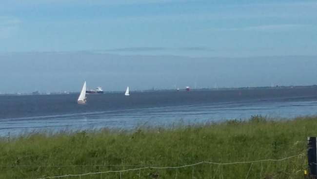 Fishing Harbor Race in Bremerhaven