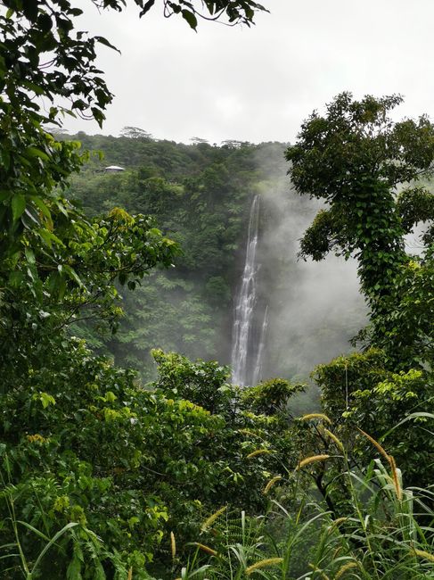 Der Papapapaitai Wasserfall ist mit 100m der größte der Insel 