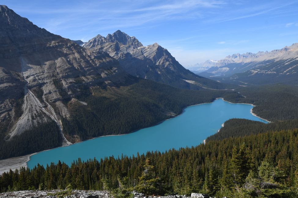 Banff National Park - Lake Peyto