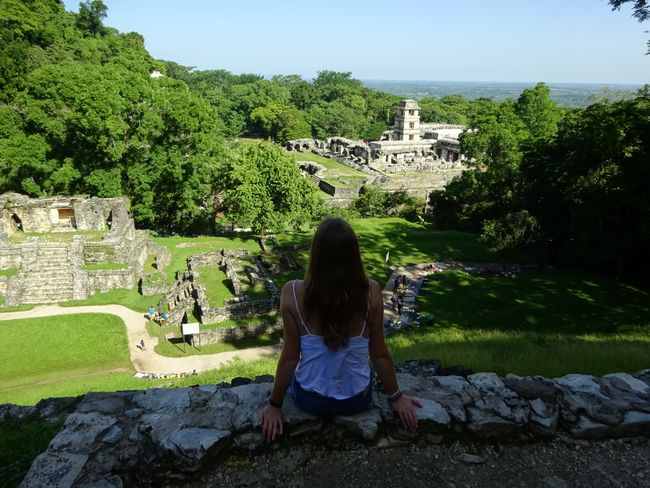 View over the Mayan ruins in Palenque
