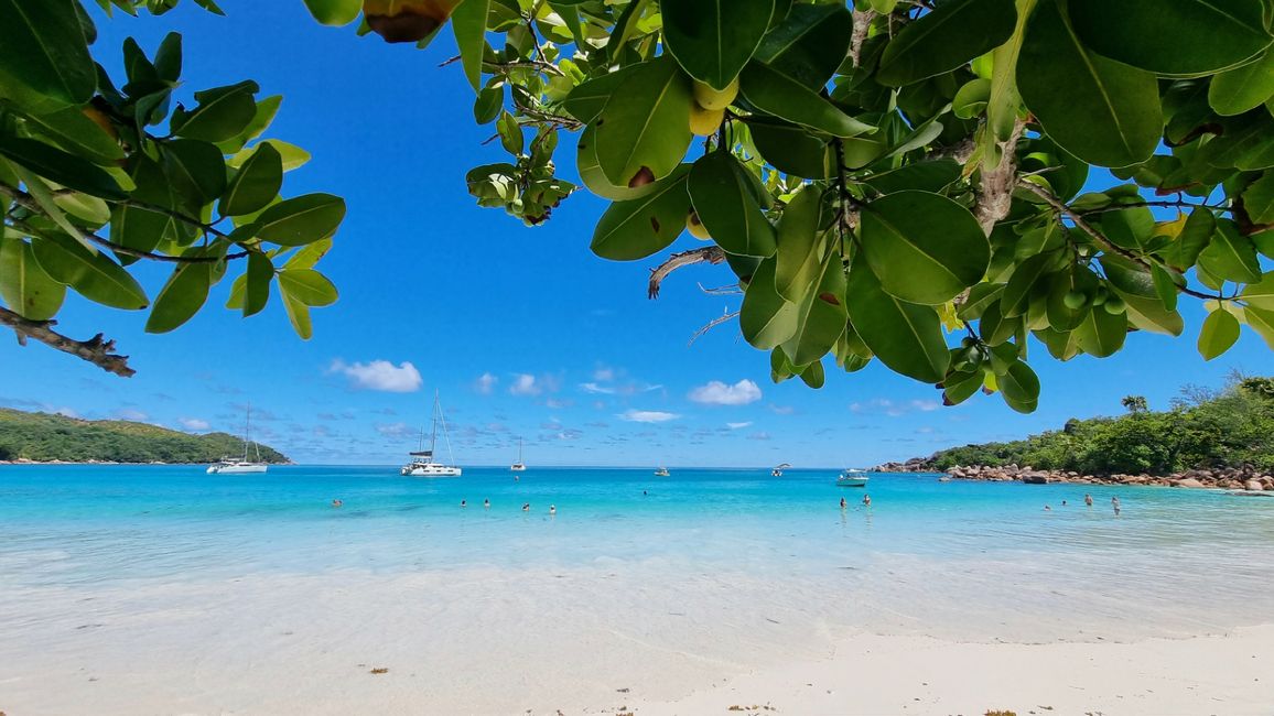 Seychelles 2023 - Part 2: Praslin