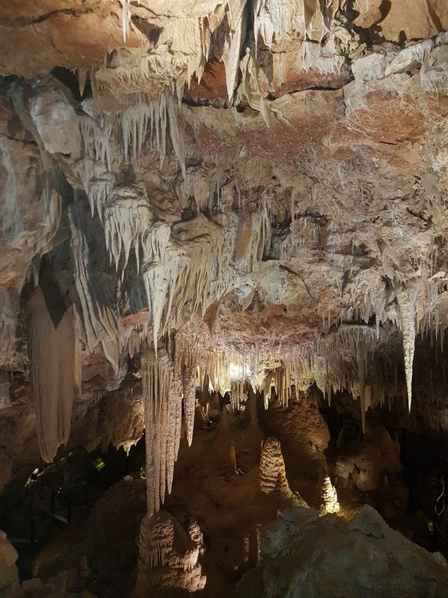 Die "Ngilgi" Höhle, in der mir wegen der erhöhten Kohlendioxidkonzentration beim Treppensteigen recht schwindelig geworden ist 