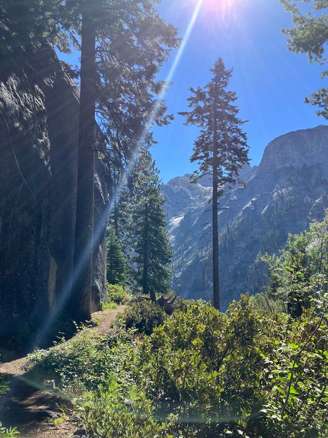High Sierra Trail Tag 2