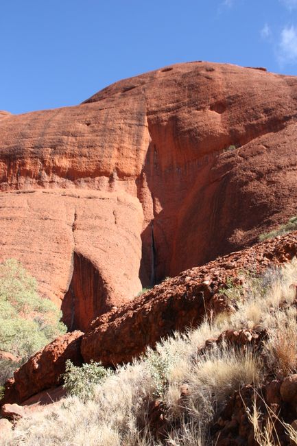 Uluru, Kata-Tjutas und Kings Canyon