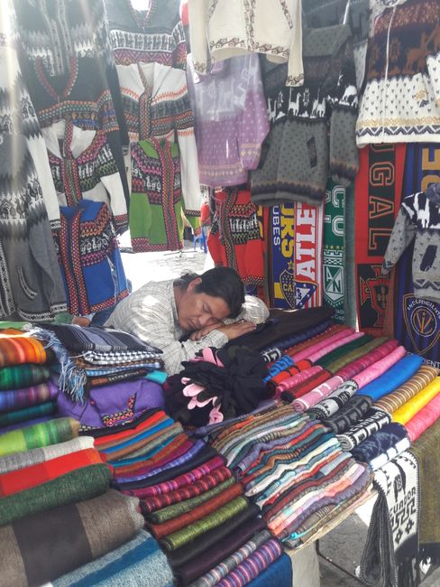 Trip to Otavalo