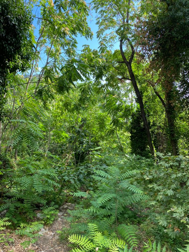 Wandern, schwitzen, meckern