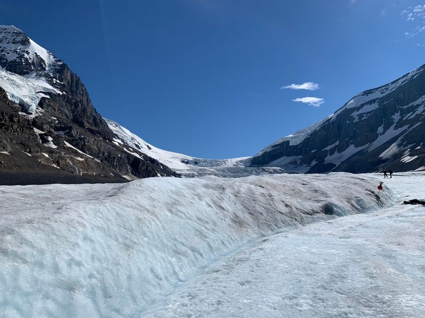 BLOG 5 Icefields Parkway