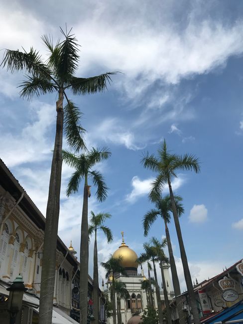 Sultan Mosque 🕌 