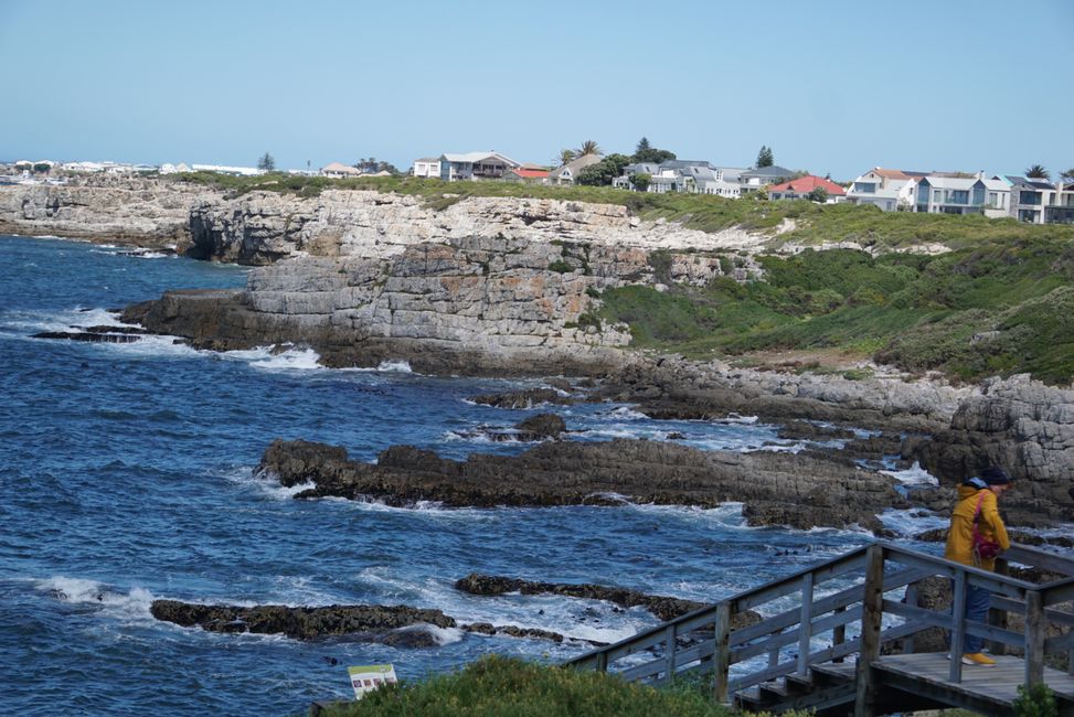 Hermanus ♥️