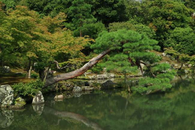 Tenryuji Zen Garden