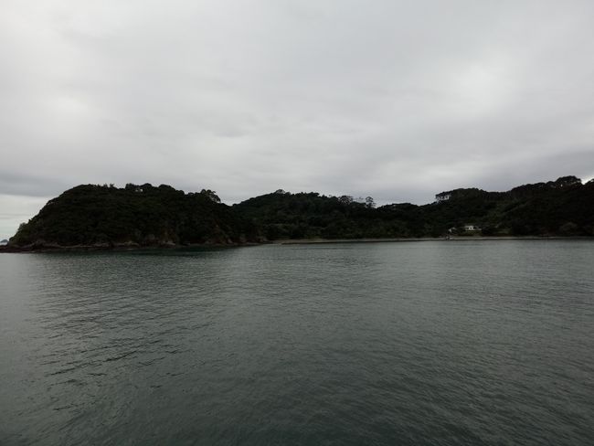 One of the numerous islands in the Bay