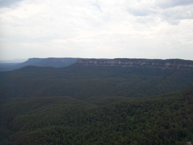 Roadtrip 2 - Blue Mountains