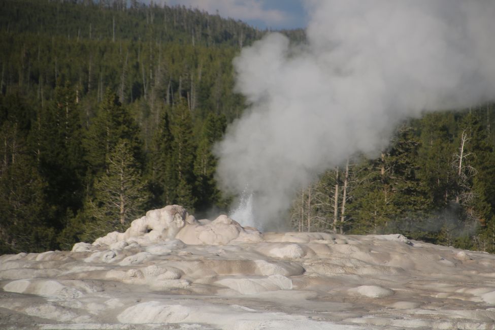 "Danco sur la Vulkano" - Lasta turniĝo sur la pargeto en Yellowstone NP