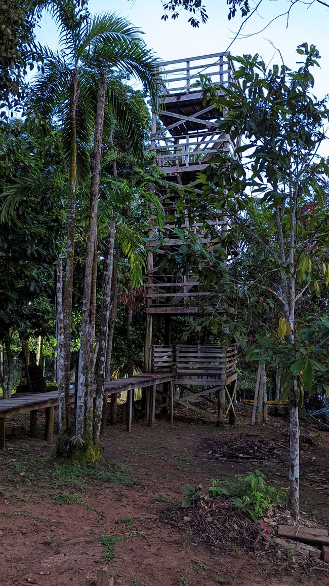 2. Día en la selva amazónica