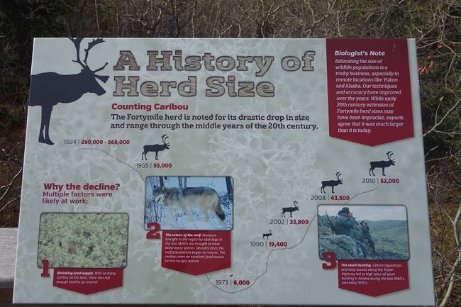History of caribou