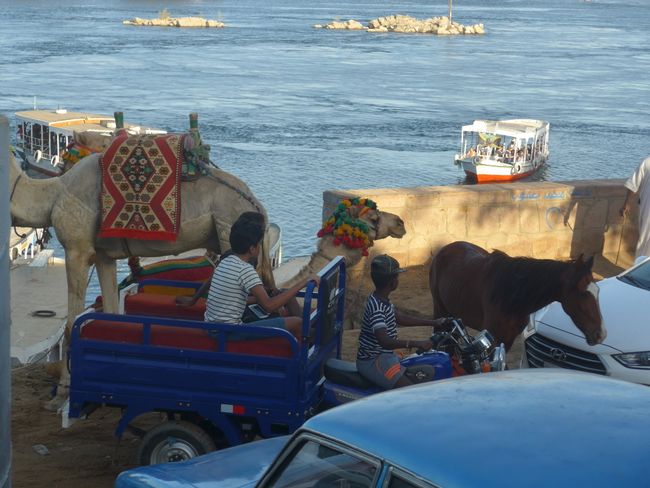 Nilkreuzfahrt: Assuan bis Luxor (Ägypten Teil 4)