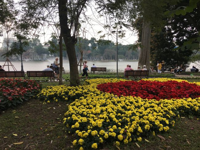 Beautiful flowers at Hoan Kiem Lake