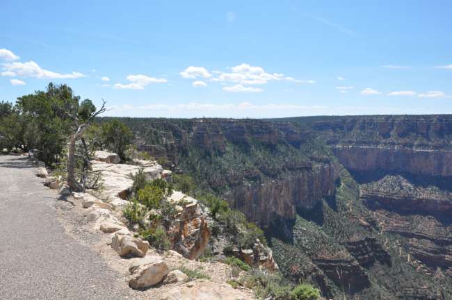 Along the South Rim of the Grand Canyon