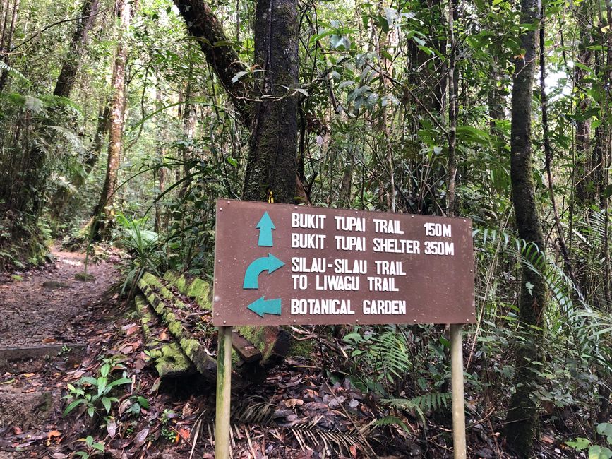 🇲🇾 Kundasang auf Borneo ⛰️ Mount Kinabalu