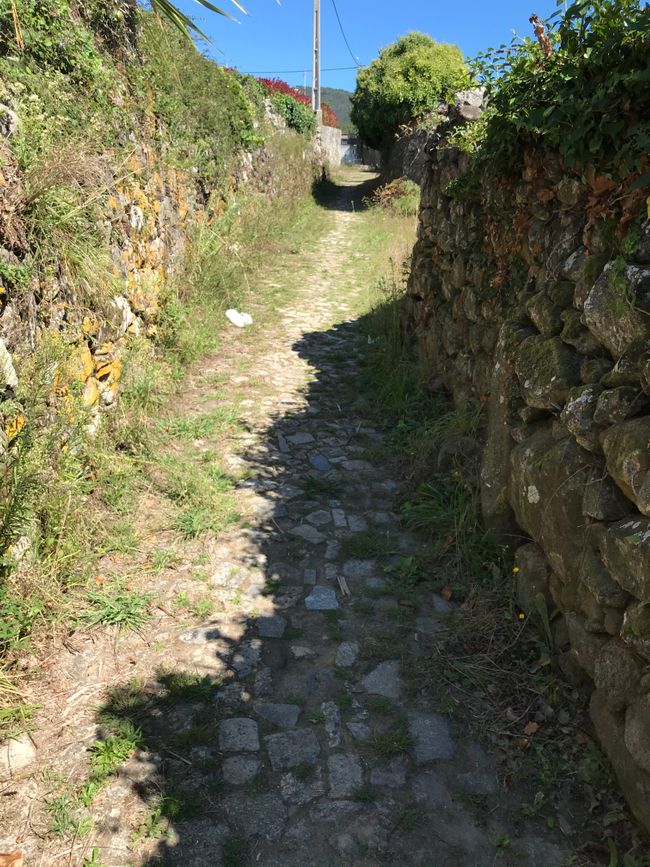 Attraverso i campi