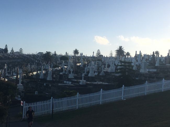 The cemetery on top of the cliffs, it looked impressive...