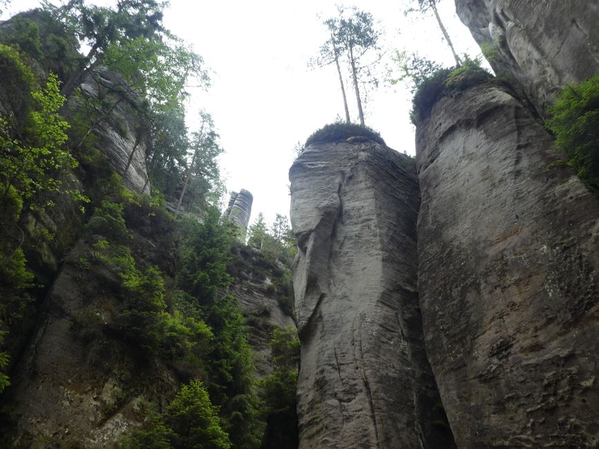 Adersbach Rocks