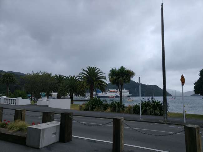 12.01. Picton, Nelson, rainy, sunny in the evening, Thursday