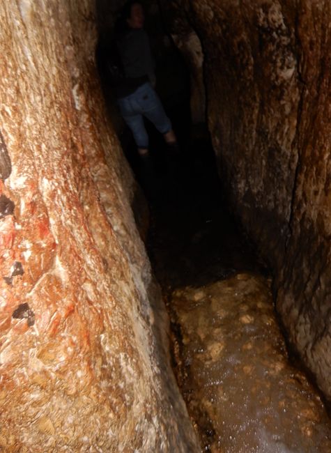 Ab durch den Wassertunnel: Hanni