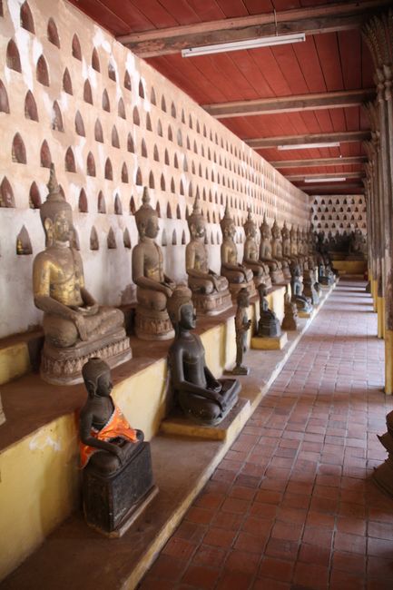 Eine Wand voll mit Buddhas