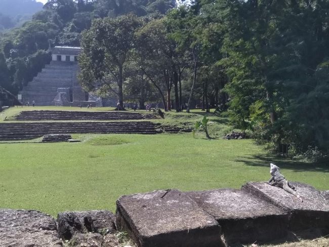 Mexico: Palenque